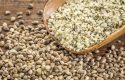 Hemp seeds